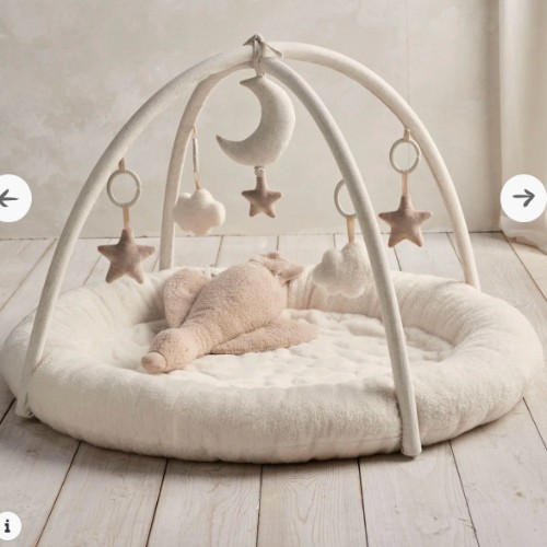 Playmat & Gym - Welcome to the World Duckling